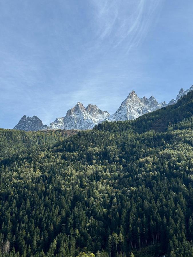 Apartamento Cocon Au Coeur De Chamonix Avec Parking Gratuit Exterior foto